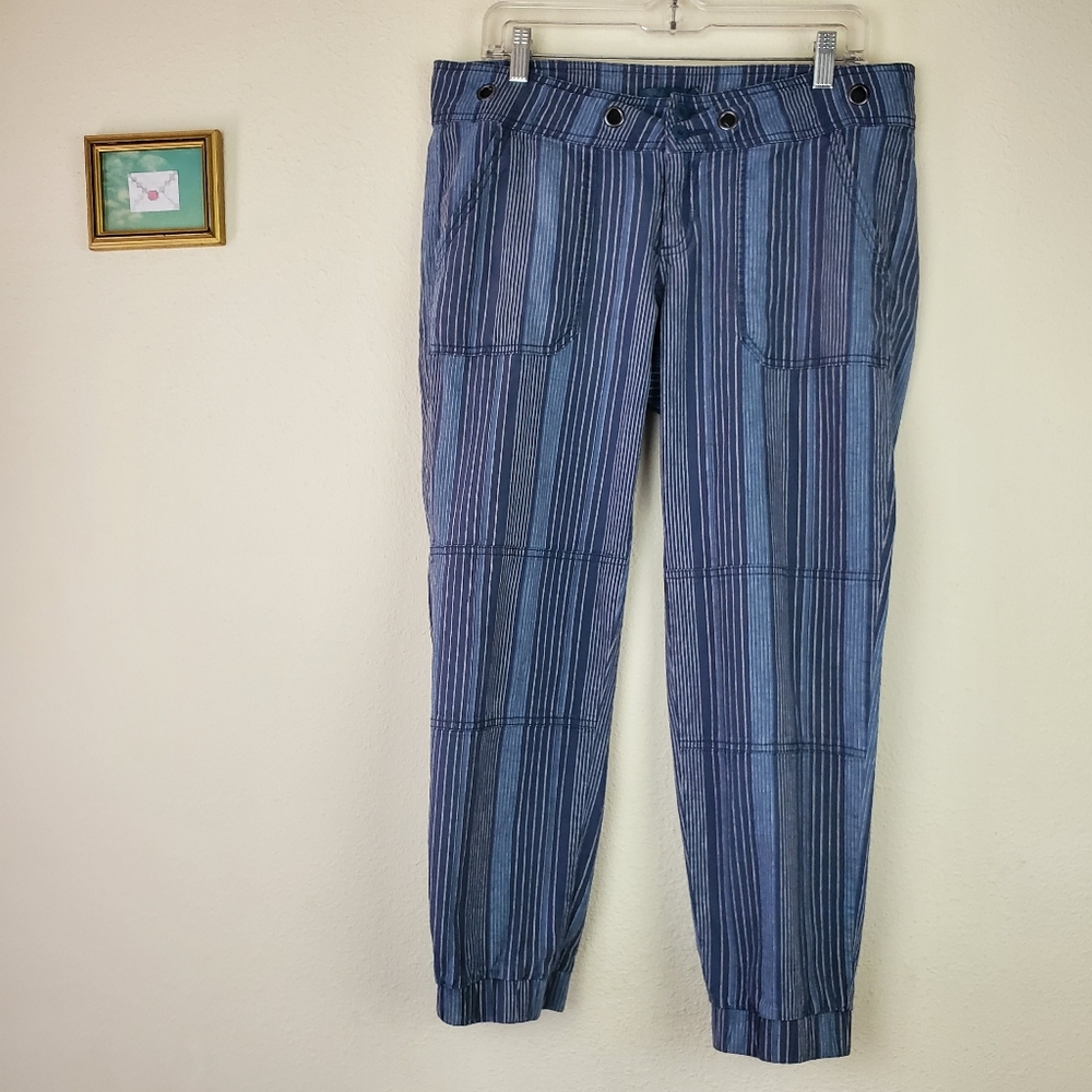 Prana's Blue Striped Pants
